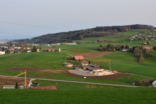 sonnenhof-weide 3