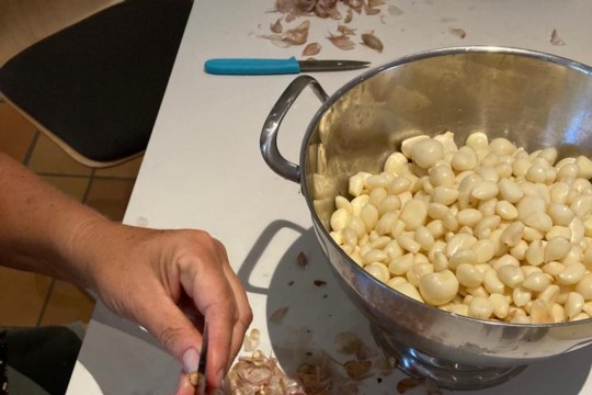 WhatsApp Image 2023-09-12 at 08.00.48 (8).jpg