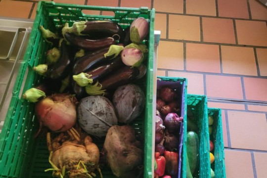 WhatsApp Image 2023-09-12 at 08.02.41 (1).jpg