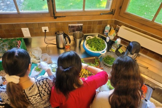 WhatsApp Image 2023-09-12 at 08.02.41 (2).jpg