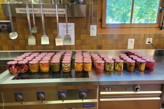 WhatsApp Image 2023-09-12 at 08.02.41.jpg