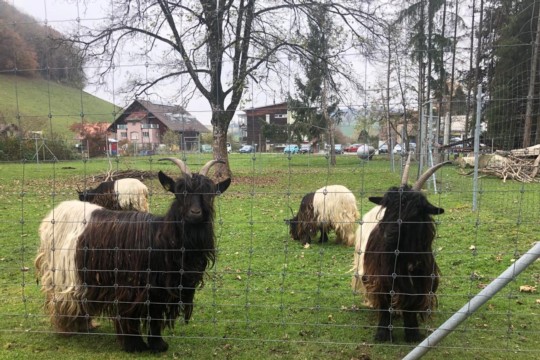 bild2