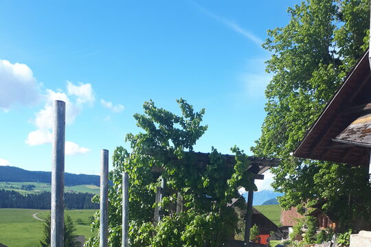 20260517_093405.jpg