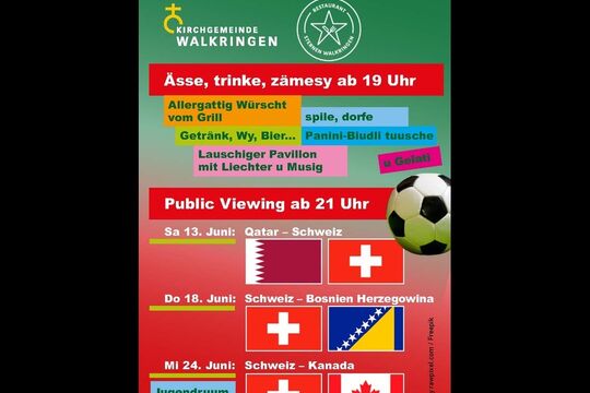 Flyer_Public Viewing_publi.jpg