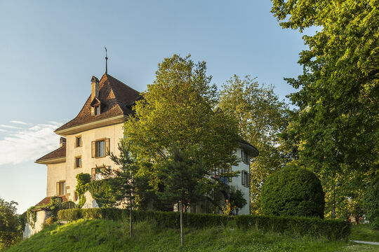 Schloss Münsingen im Abendlicht 4_3-.jpg