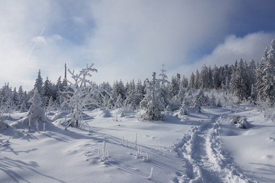 20190112_140315.jpg