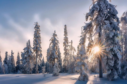 Die etwas andere inspirierende Winterwanderung für Glück und Zufriedenheit (1).jpg