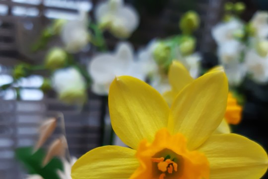 20220202_105100.jpg