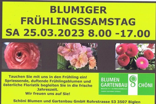 flyer 23.jpg