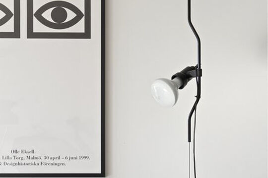 IMG_9538.jpeg