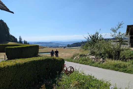 image00017