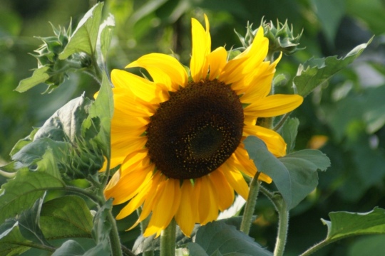 57eb61d9c15a2dbfd4a1f19cc3d1cc76.jpg