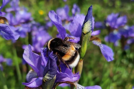 WhatsApp Bild 2025-07-14 um 13.55.01_752fcc43