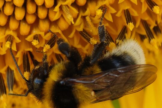 WhatsApp Bild 2025-07-14 um 13.55.13_16086c4d