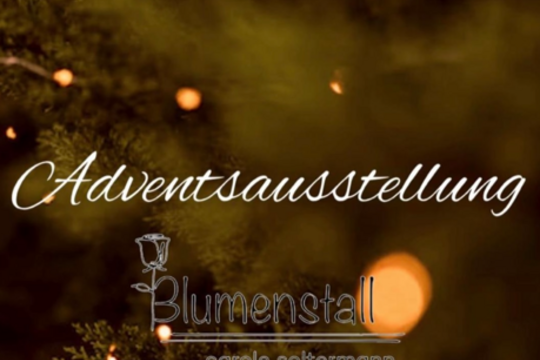 Screenshot 2025-11-20 185739adventsausstellung flyer25.png