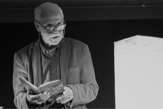 Banner Lesung Walter D&auml;pp.png