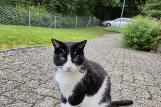 IMG_2117.jpeg