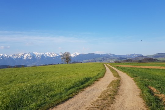 20210425_080114.jpg