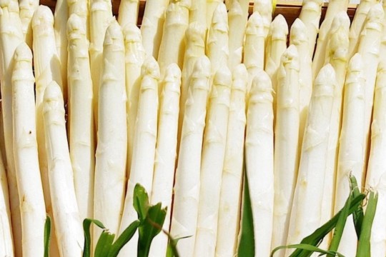 bohrerhof-spargel-980x520.jpg