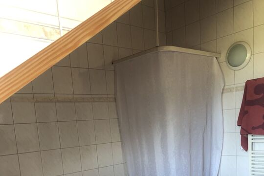 IMG_6431.jpeg
