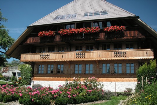 Haus Oberthal und Holztransport006.jpg