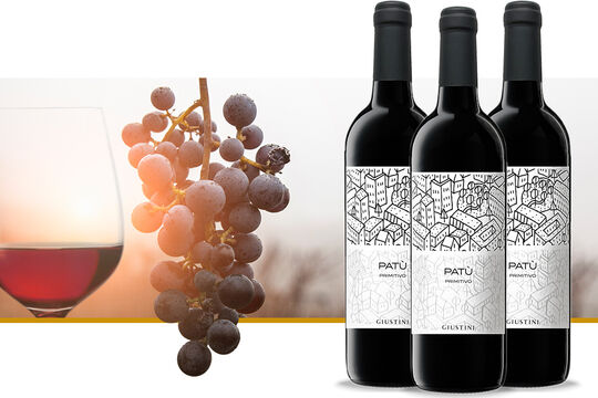 1 Bern Ost Monats-Hit 01.2026.jpg