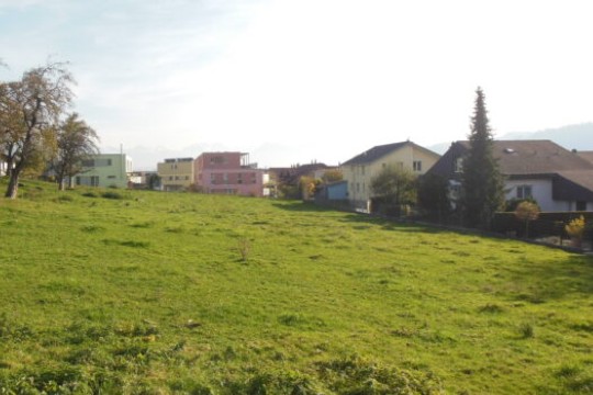 DSCN3715