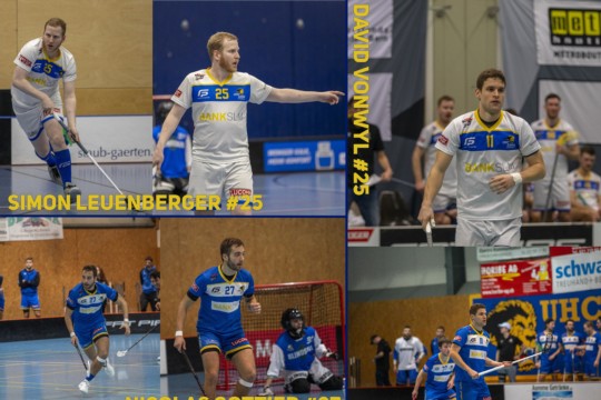 Collage Lions.jpg