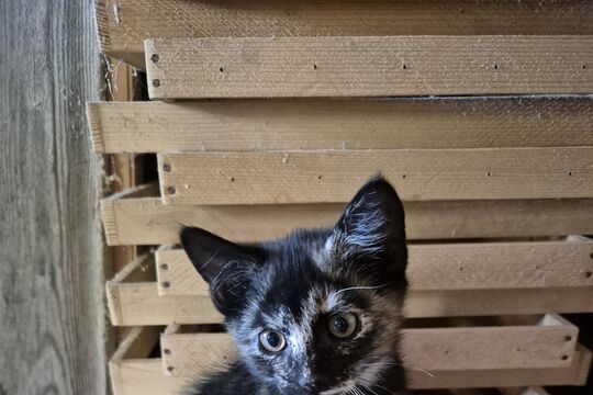 20260711_142615.jpg