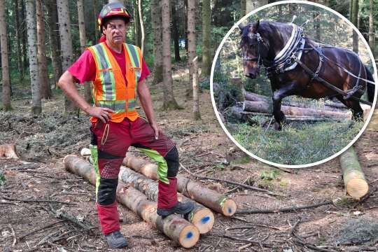 Bild &laquo;Das ist eine hohe Kunst&raquo;