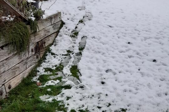 Bild Fussabdr&uuml;cke bis zur Terrasse