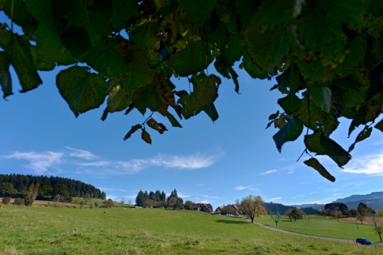 Möschberg