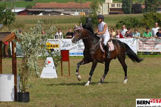 5cf41500adad1c74f9b721f770b33ade.jpg