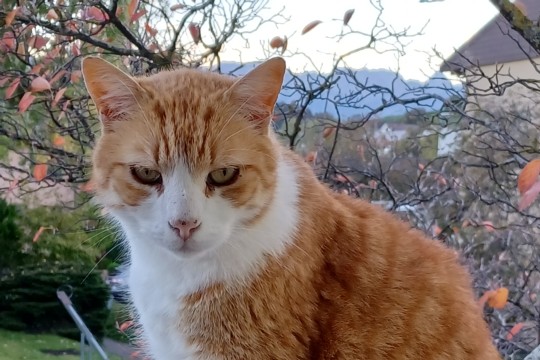 20221015_182202.jpg