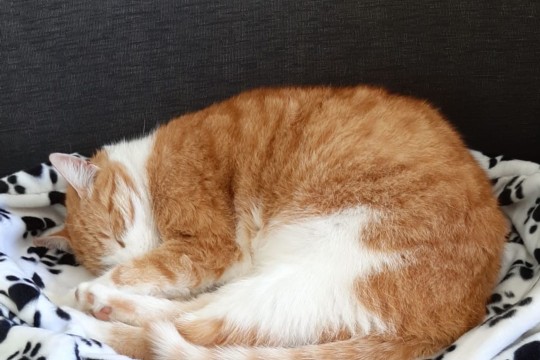 IMG-20190608-WA0001.jpg