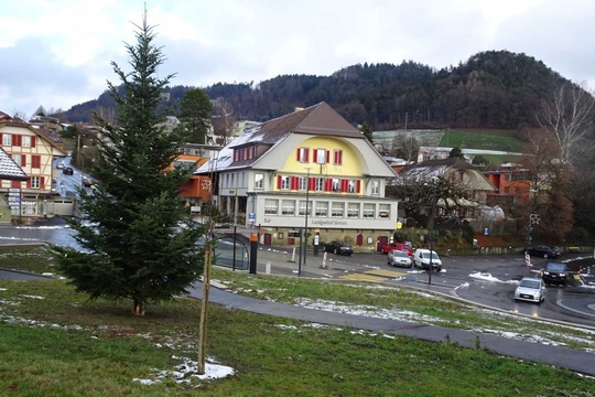 baum7
