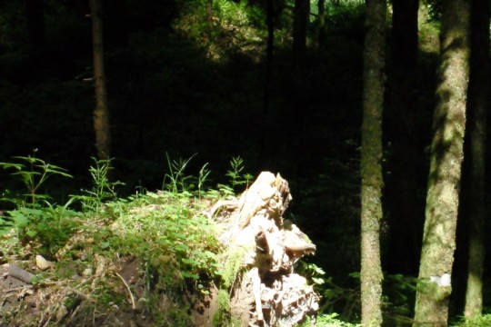 Bild mit strickender Frau.jpg