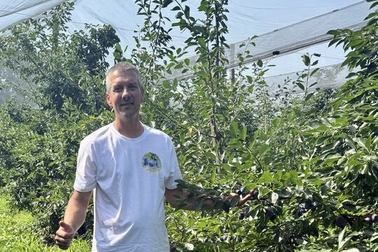 Obstbauer Reto Schuerch 2