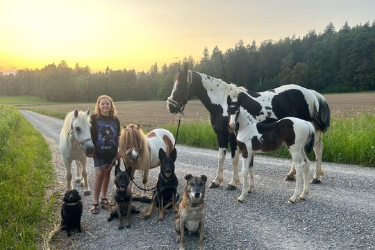 Jelia Jeremias Tochter mit Pferden und Hunden