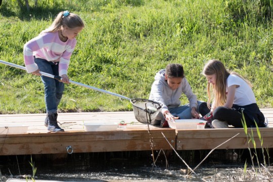 FdN_Biodiversität in der Kiesgrube.jpg