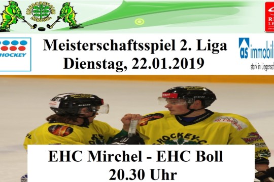 Meisterschaftsspiel 2. Liga, 22.01.2019.jpg