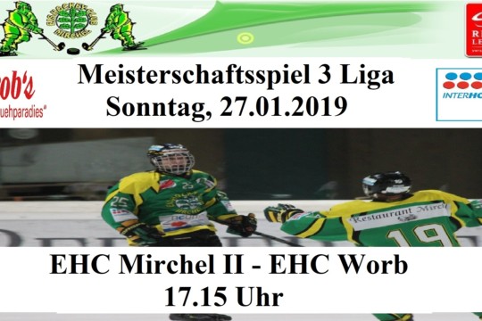 Meisterschaftsspiel 3. Liga, 27.01.2019.jpg