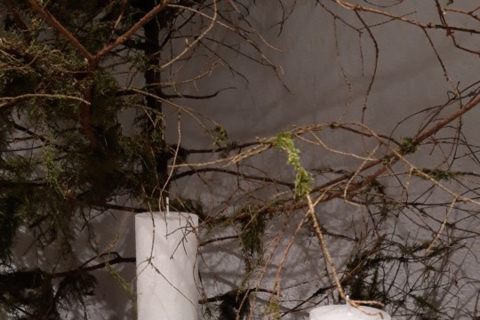 20191123_092917