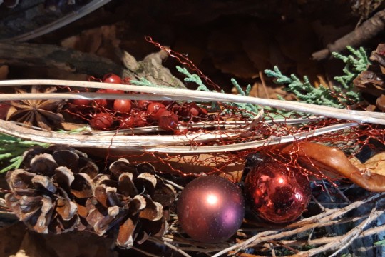 20191123_123915