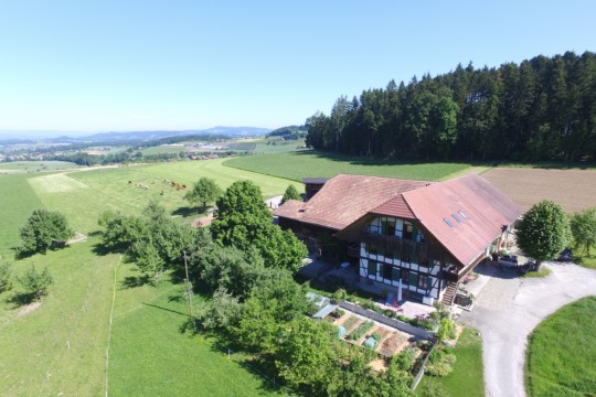 DJI_0239.jpg