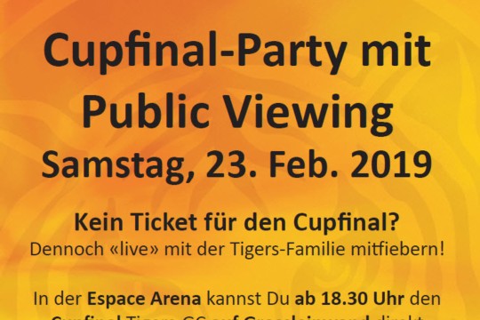 Cupfinal-Party.jpg