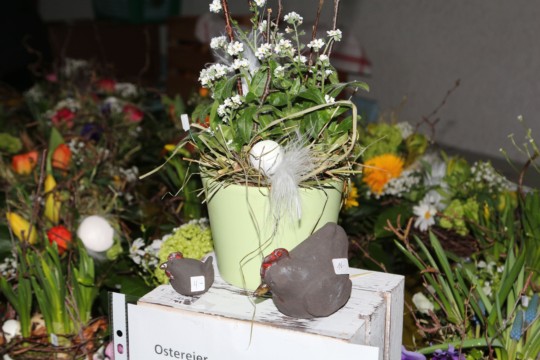 202428Mär_7229