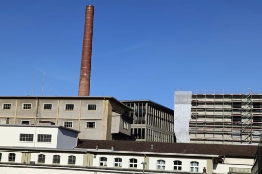 Bernapark Kamin 2