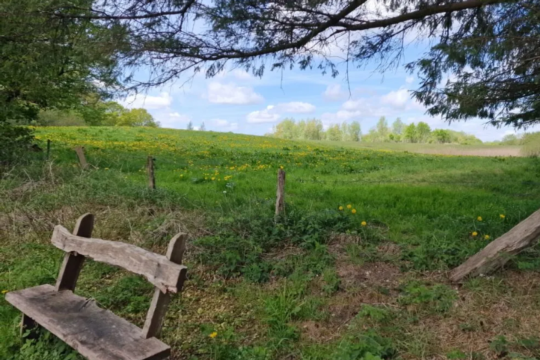 Screenshot 2025-01-21 080227.png