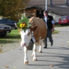 Profil Bild